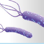 Vircell – Helicobacter pylori: A retrospective comparison with a Liaison