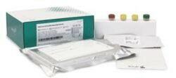 New Vircell SARS-CoV-2/FLU/RSV Multiplex RT PCR KIT - Abacus dx